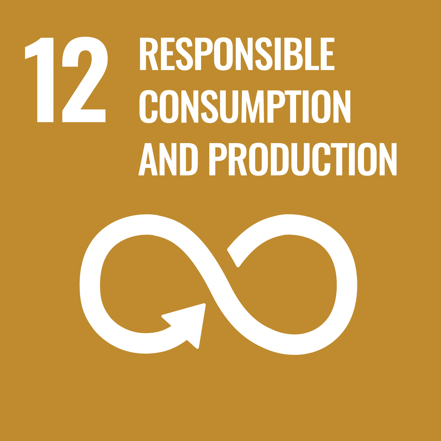 12.Responsible consumption, production